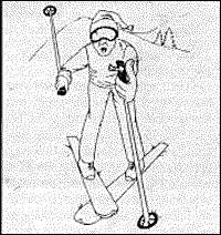 Skier
