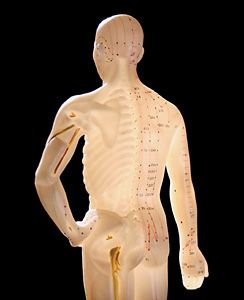 Acupuncture Point