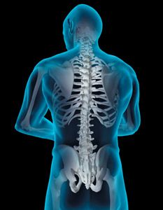 back spine