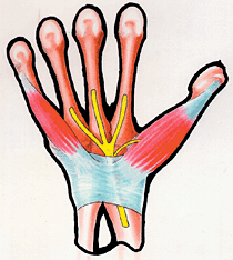 Peripheral nerve entrapment