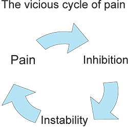 cycle of pain