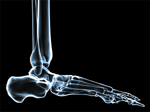 foot joint