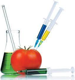 Organic vs. Conventional Foods