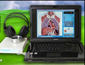 Vector Biofeedback