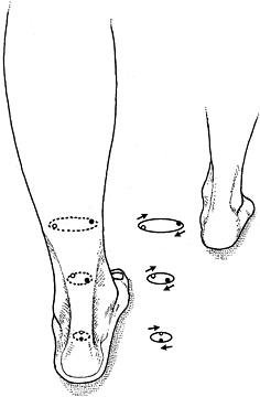 Rotation of the Achilles tendon - Copyright – Stock Photo / Register Mark