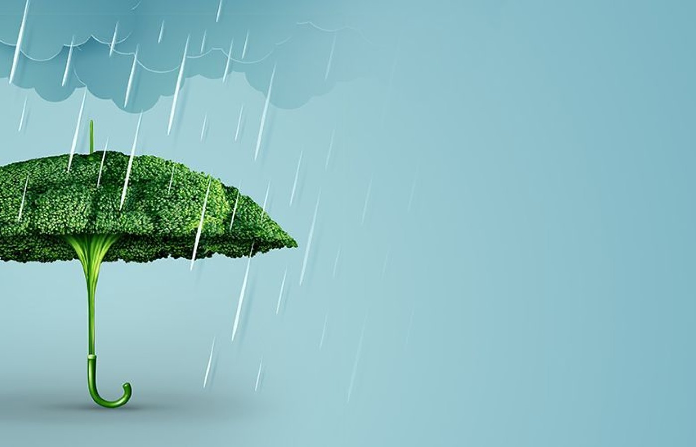 broccoli umbrella