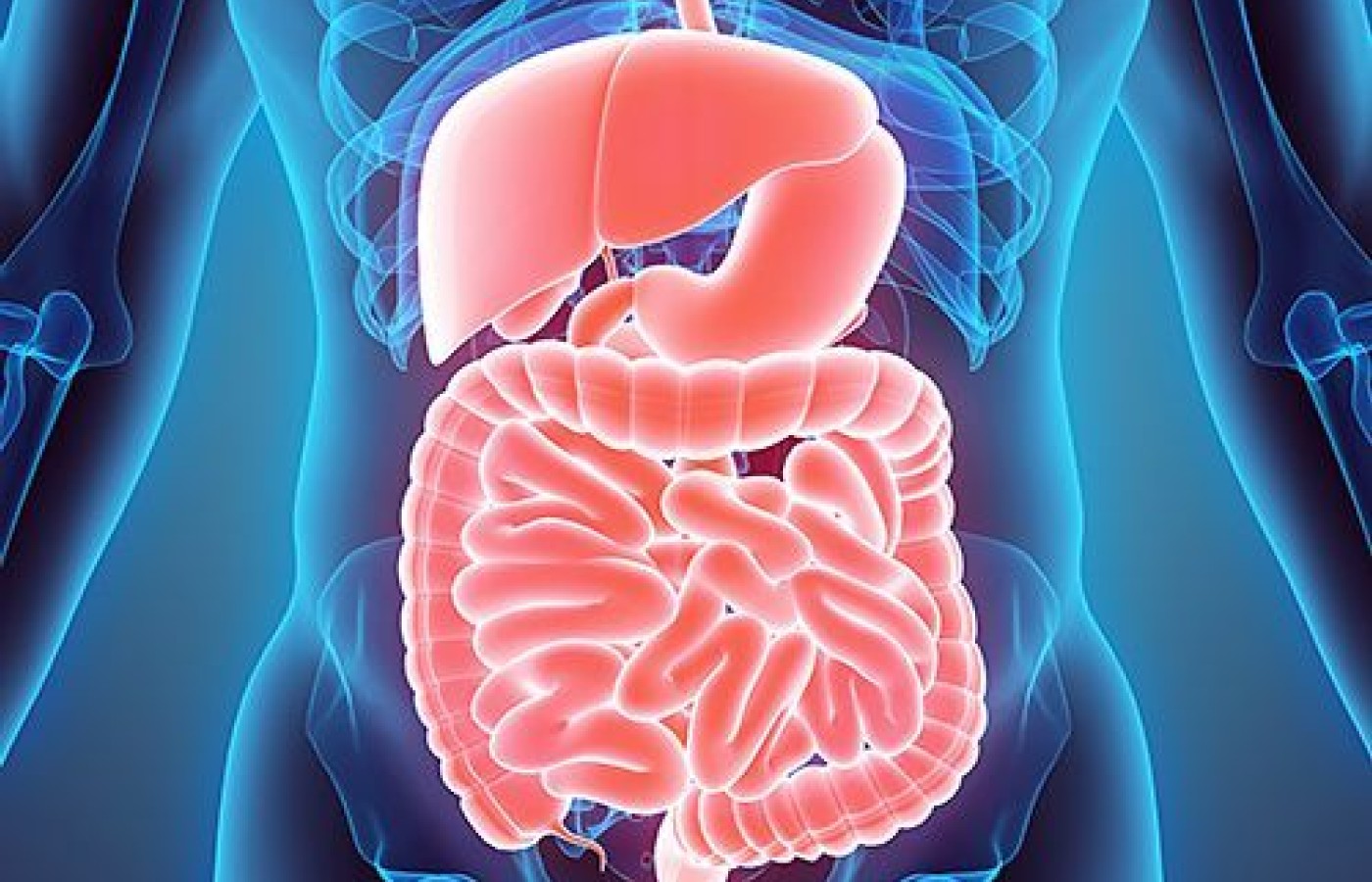 metabolic endotoxemia
