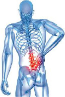 The ULTIMATE Back Support!
