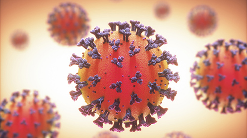 Chiropractic in the Age of the Coronavirus: Exploring the Expectations and Evidence